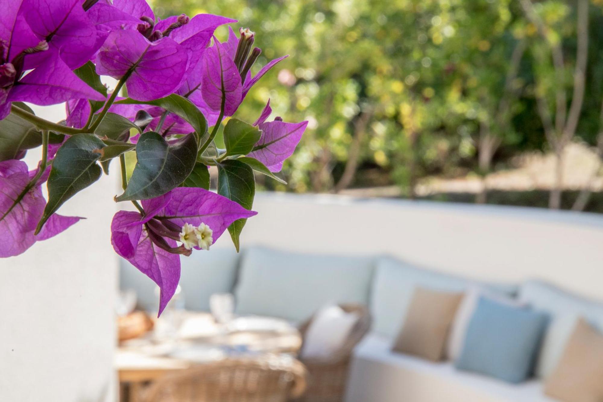 פרופריאנו Boutique Hotel Chateau Rouher מראה חיצוני תמונה
